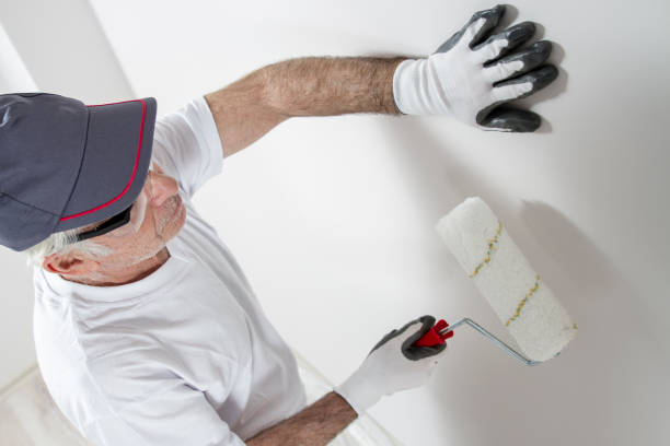 Best Forensic Mold Investigation  in Seymour, IN