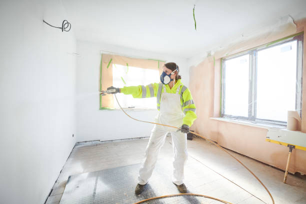 Best Water Damage & Mold Remediation  in Seymour, IN