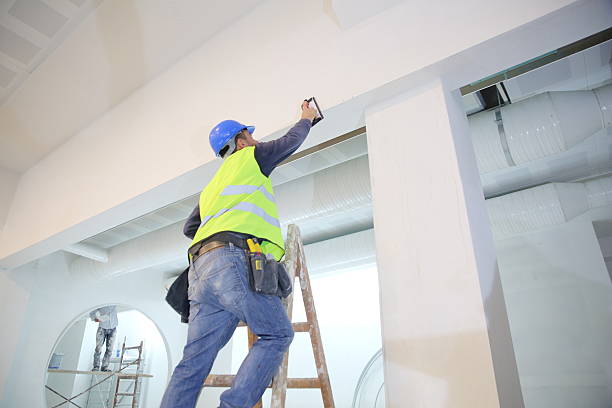 Best Black Mold Removal  in Seymour, IN