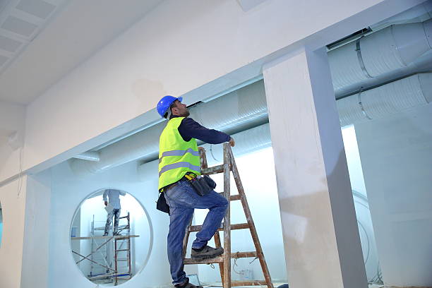 Best Mold Odor Removal Services  in Seymour, IN